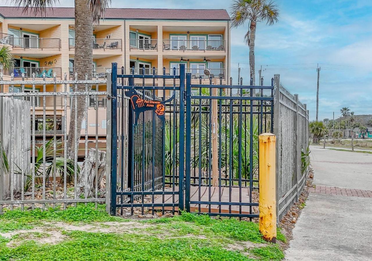 Ocean View Luxury Steps To Beach 加尔维斯敦 外观 照片