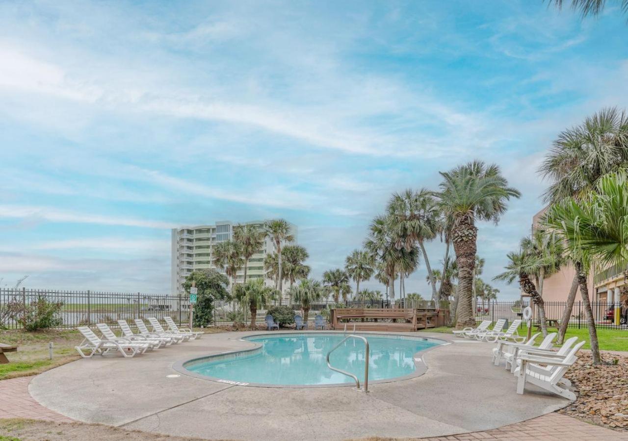 Ocean View Luxury Steps To Beach 加尔维斯敦 外观 照片