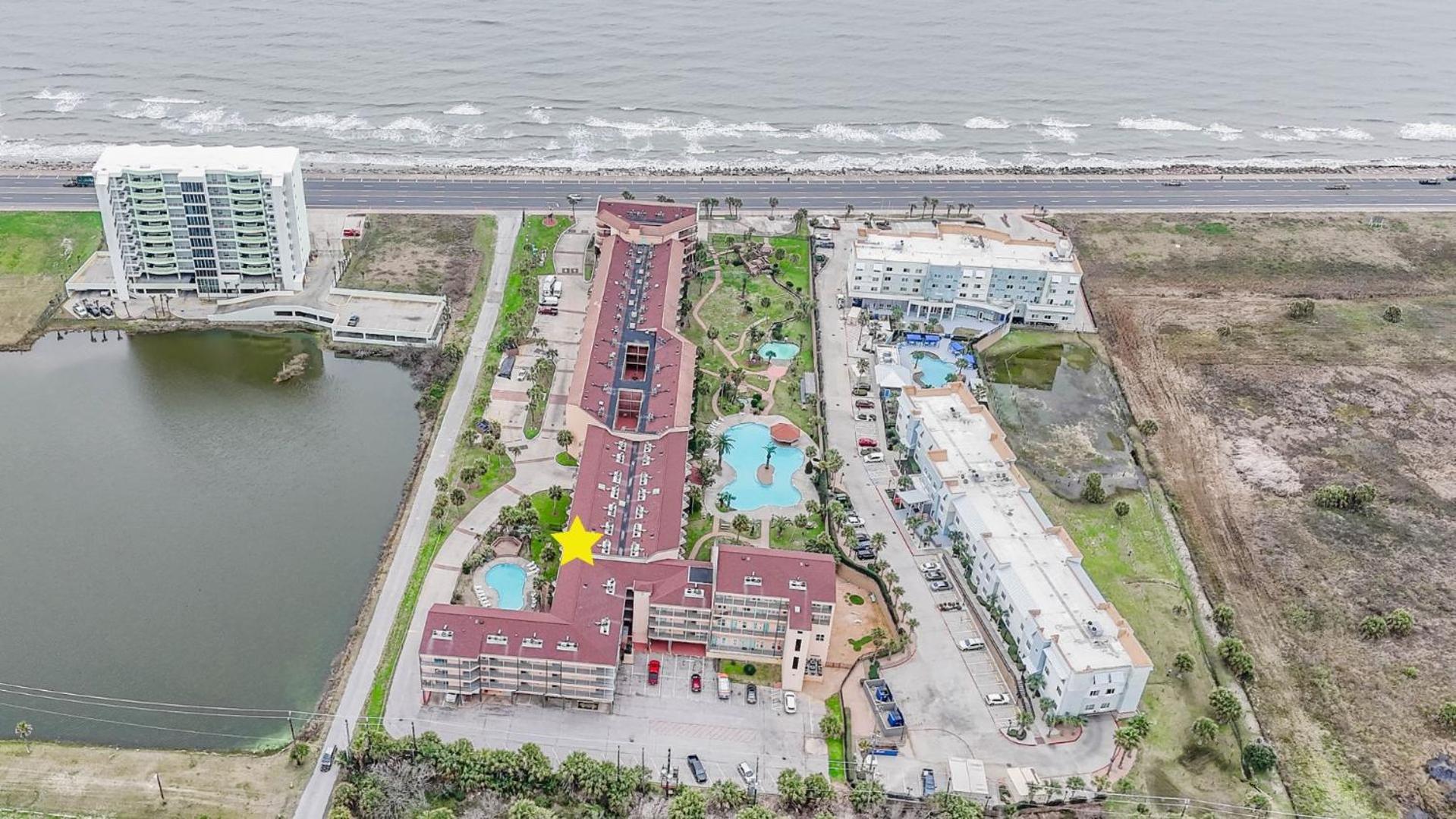 Ocean View Luxury Steps To Beach 加尔维斯敦 外观 照片